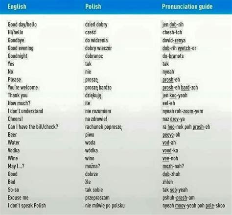 Polish slang phrases